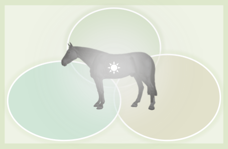 Horse inside a venn diagram