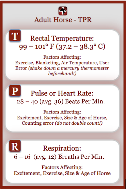 Adult TPRs Corrected 2019